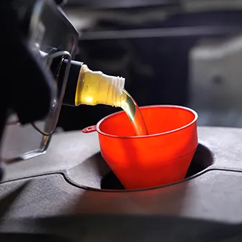 Oil Changes & Maintenance